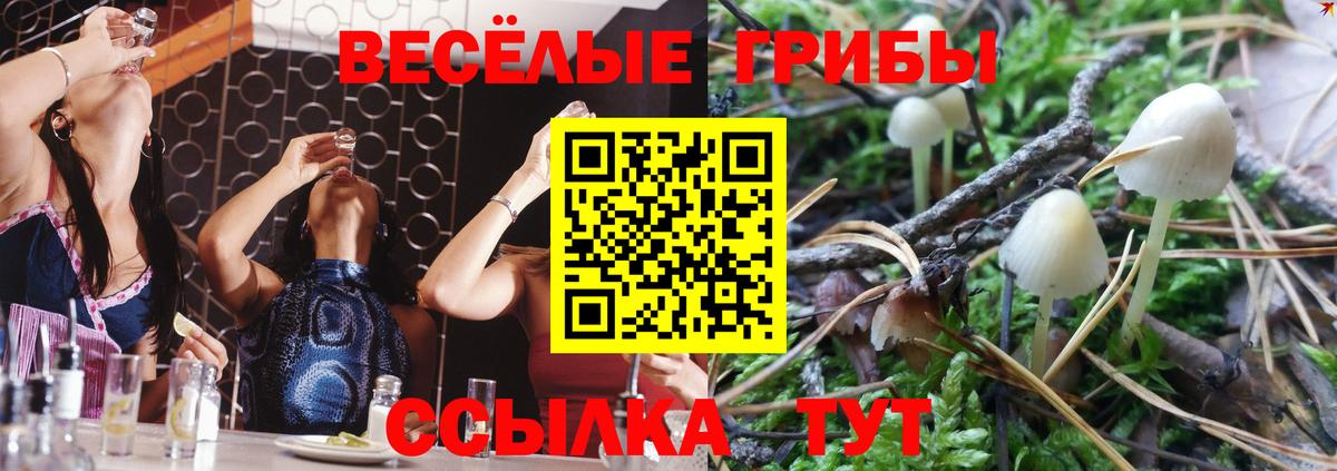 Галлюциногенные грибы Psilocybe  Вход с VPN  как найти закладки  Нурлат 